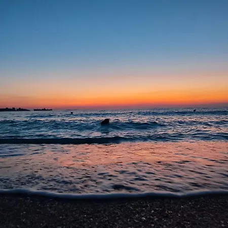 Mia Gazde/Camere de închiriat